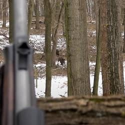 Zielfernrohre Drückjagd