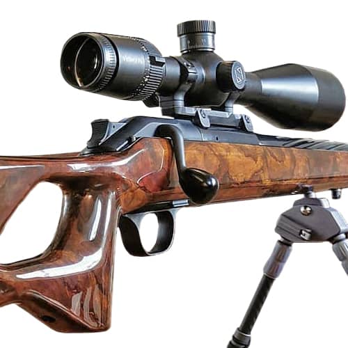 Carbonschaft-Holz-Optik- Schaftklasse