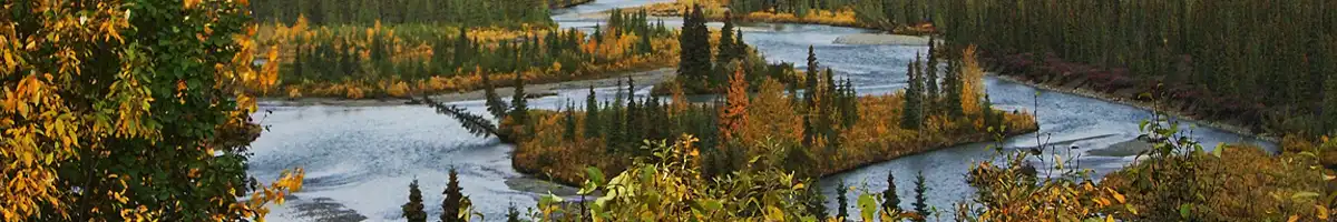 Swarovski Imagefoto Z8i