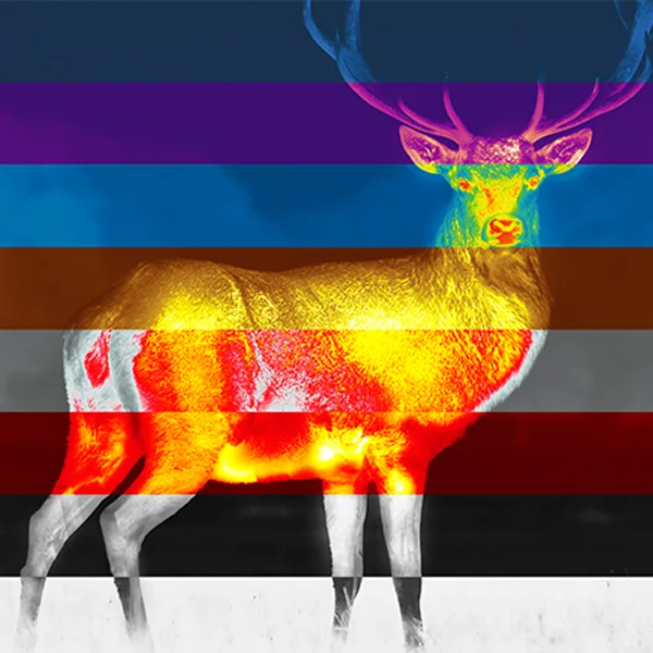 Farbmodus Pulsar Thermion