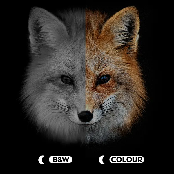 PULSAR DIGEX C50 Tag & Nachtsicht Zielfernrohr