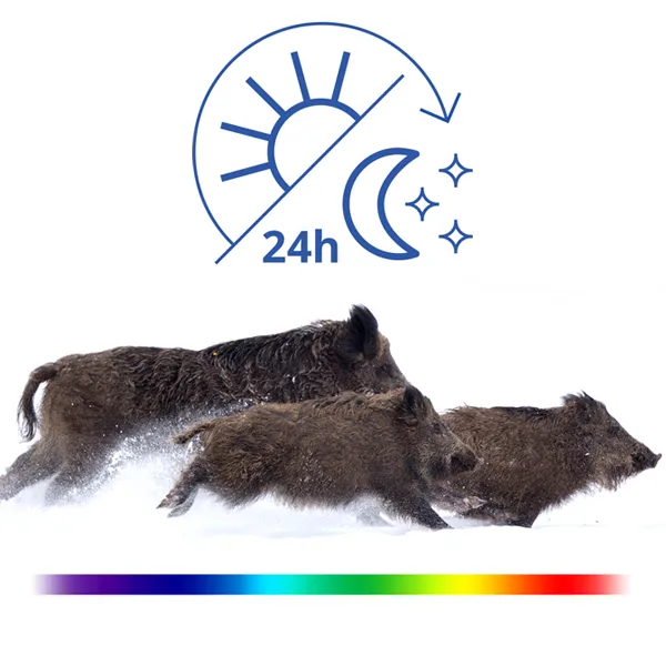 PULSAR DIGEX C50 Tag & Nachtsicht Zielfernrohr