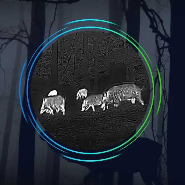 Hicmikro Thunder Pro Bildqualität